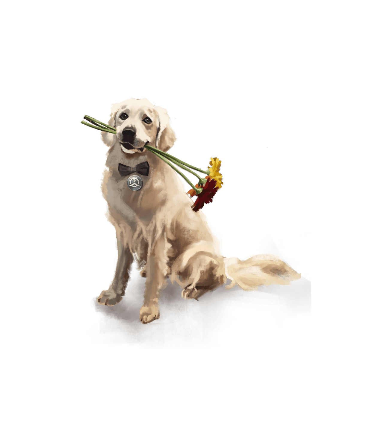 Главный по стилю