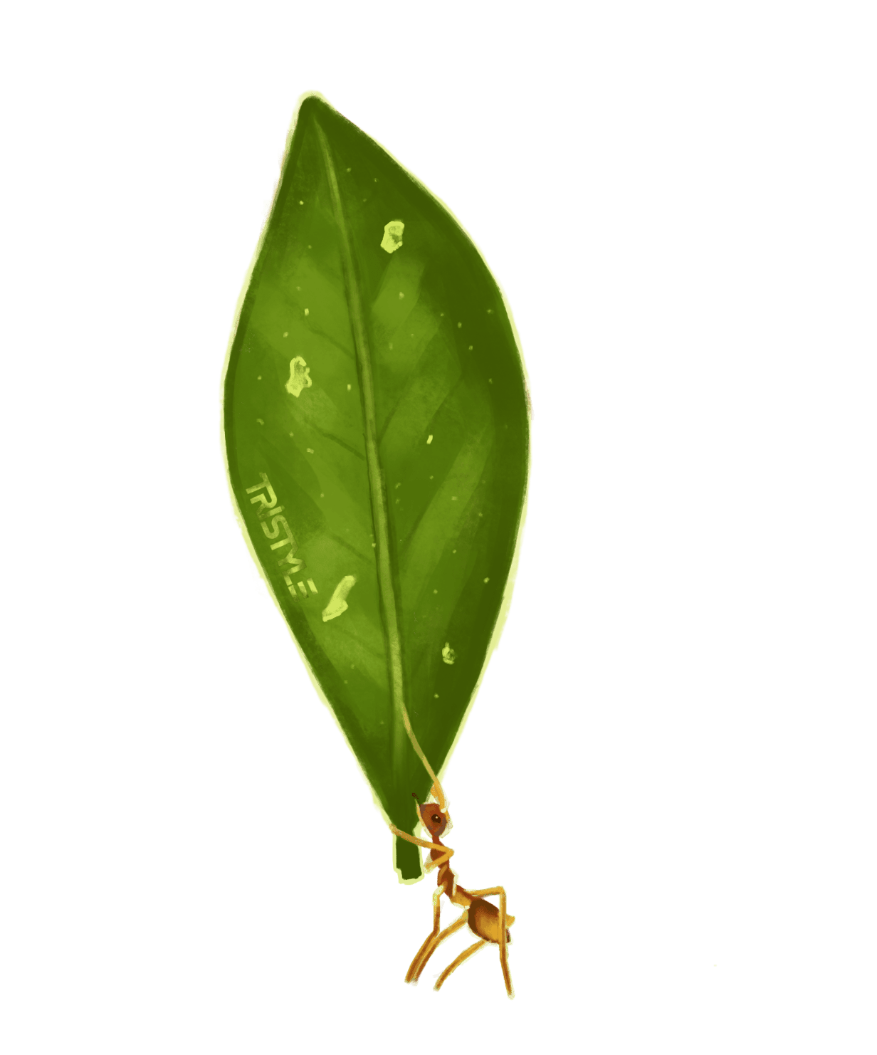 За неоценимый вклад